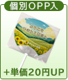 個別OPP入